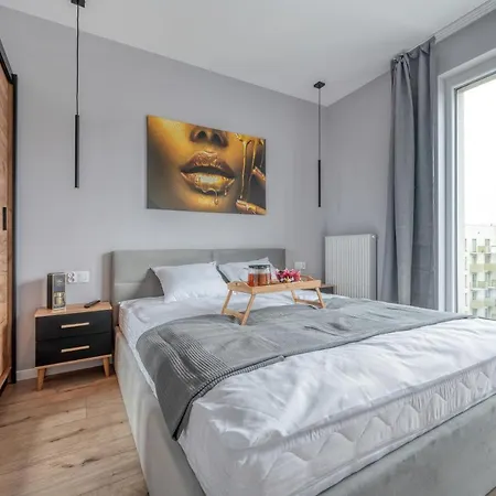 Apartman Milionowa - Parking, Balcony And Workspace - By Rentujemy